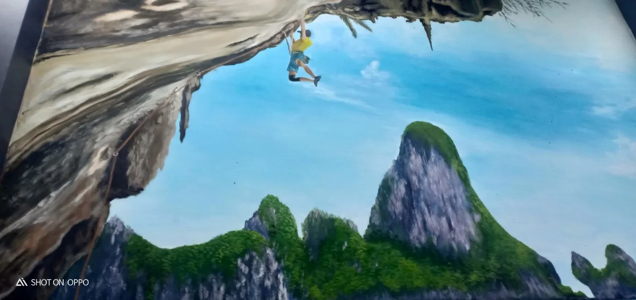 Cat Ba Rock Climbing