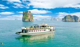 Cong-cruise