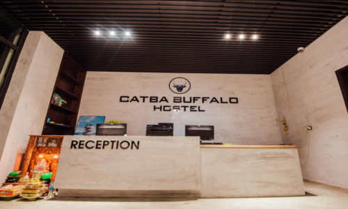 Cat-Ba-Buffalo-Hostel-17