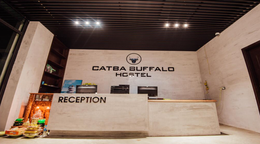 Cat-Ba-Buffalo-Hostel-17
