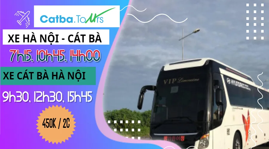 xe-di-cat-ba