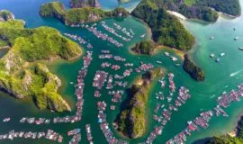 Lan-ha-bay-cruise-from-cat-ba-3
