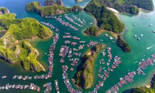 Lan-ha-bay-cruise-from-cat-ba-3