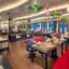 verdure-lotus-cruise-2
