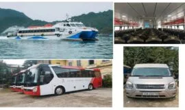 xe-cat-ba-island-resort-3