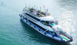 sea-star-cruise-cat-bat (3)