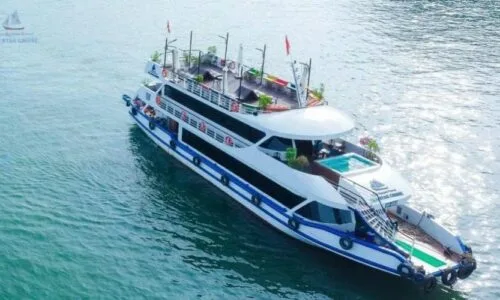sea-star-cruise-cat-bat (3)