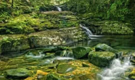 bach-ma-national-park-one-day