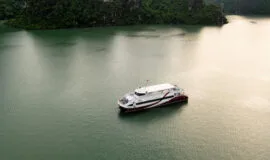 tau-cao-toc-paradise-express-1
