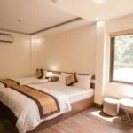 roza-hotel-cat-ba-3