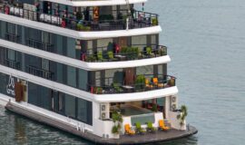 lamour_cruise-900x500