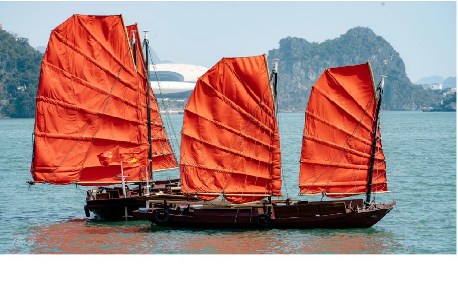 tour-thuyen-buom-vinh-ha-long